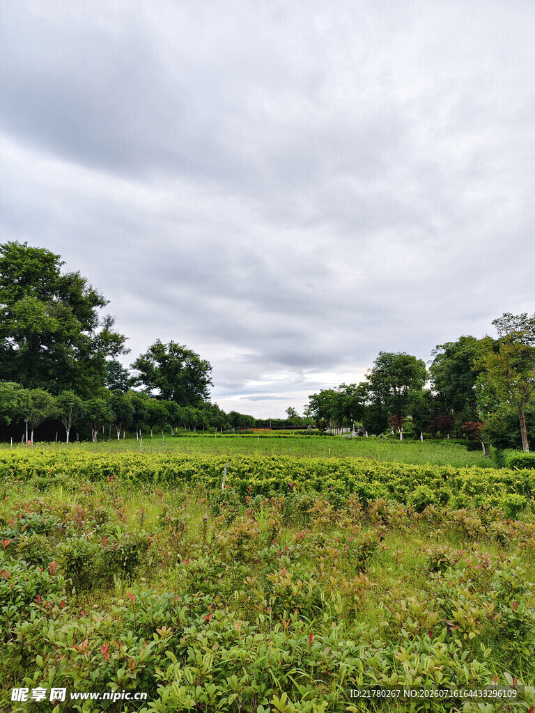 公园美景
