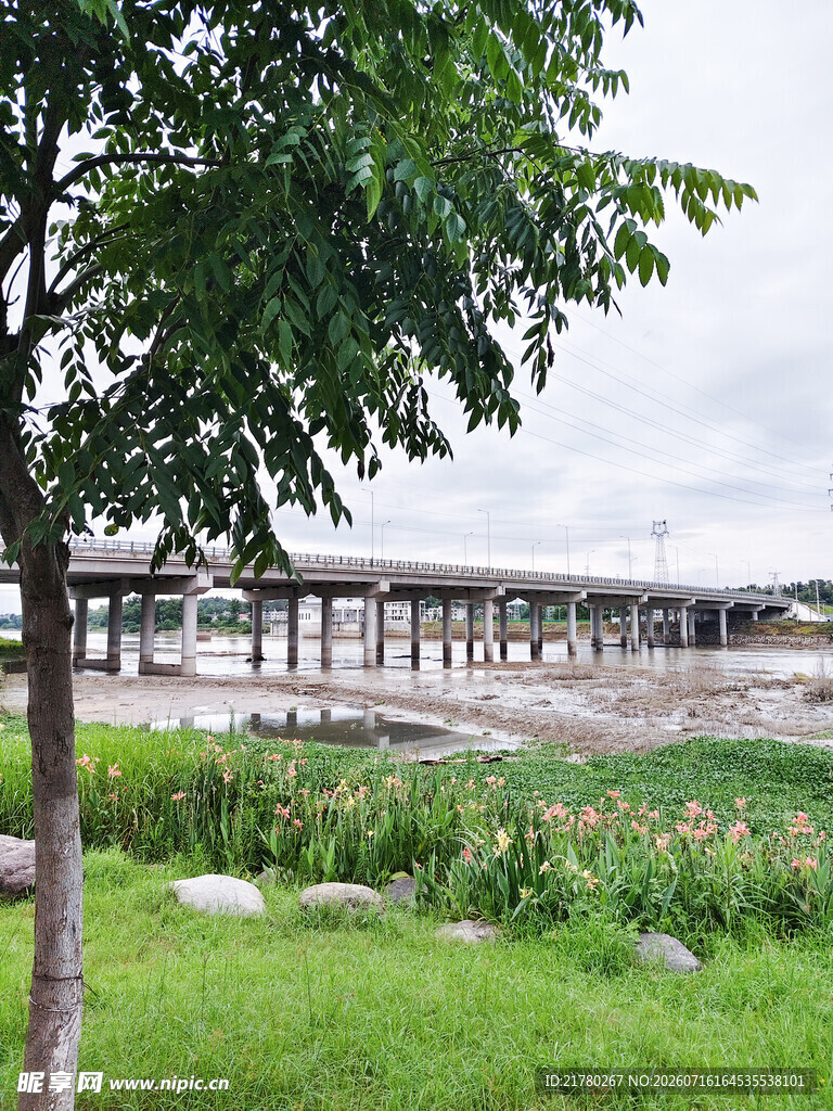 湿地公园 水生植物
