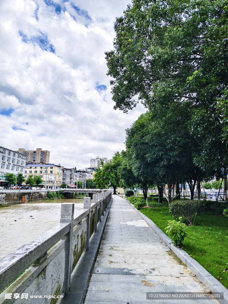 河畔林荫步道风景