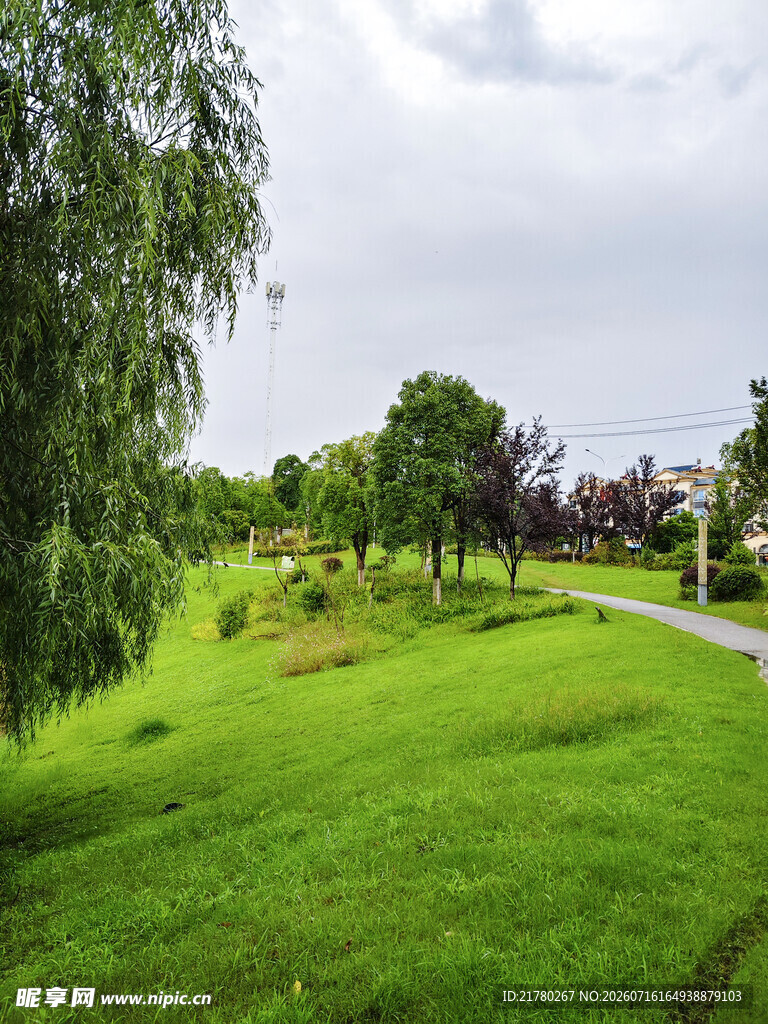 绿意盎然的户外草地风景