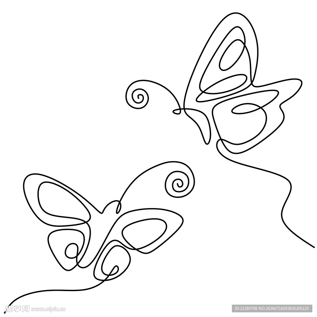 双蝶线条画