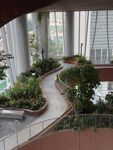 室内蜿蜒绿植景观步道