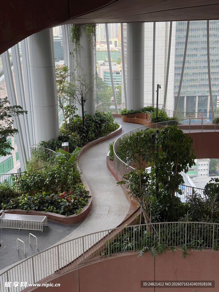 室内蜿蜒绿植景观步道