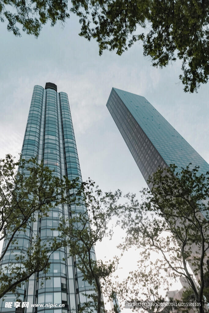 城市高楼与枝叶相映