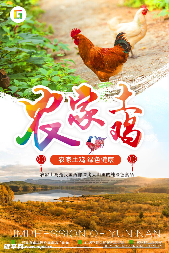  农家土鸡