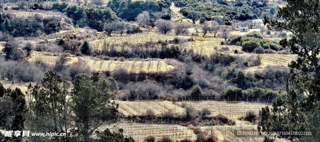 山间田野