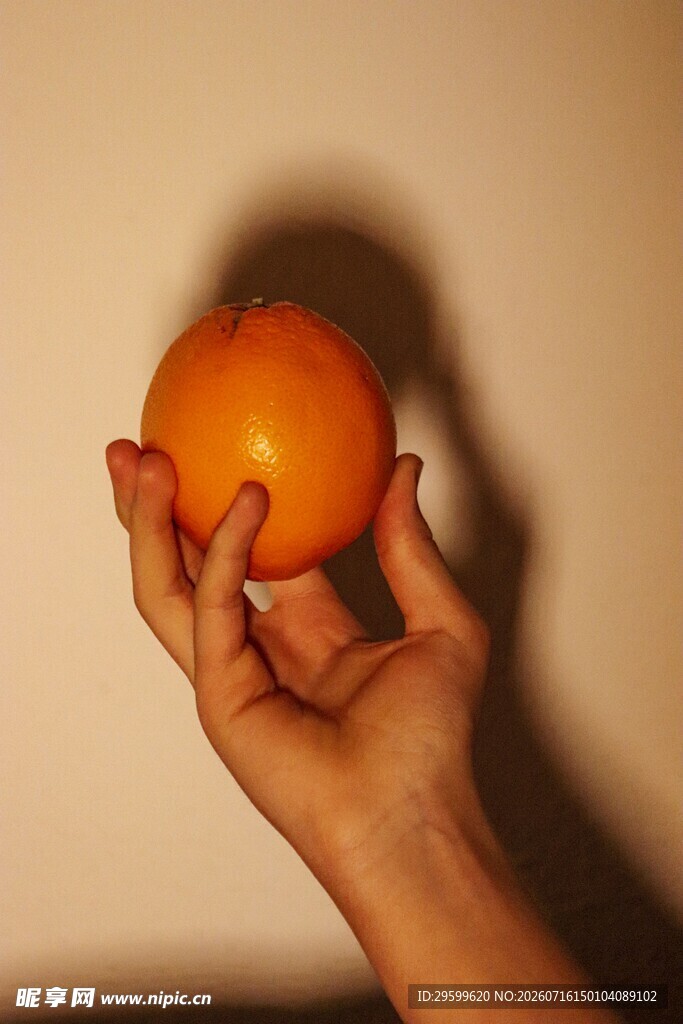 手捧鲜橙的特写画面