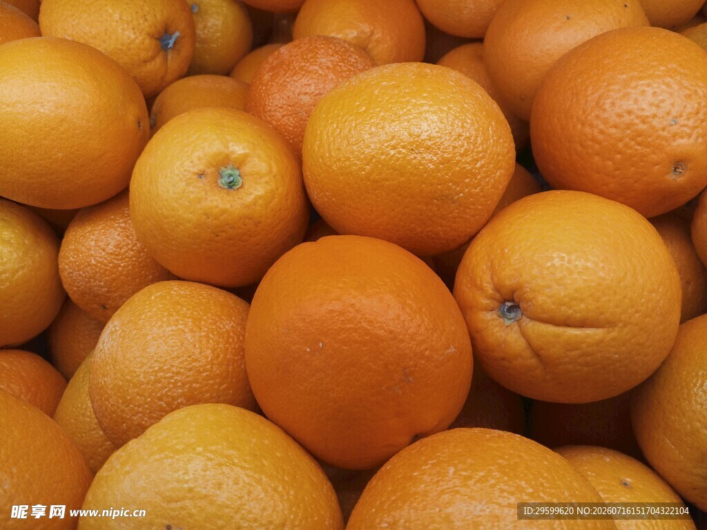 一堆新鲜橙子特写