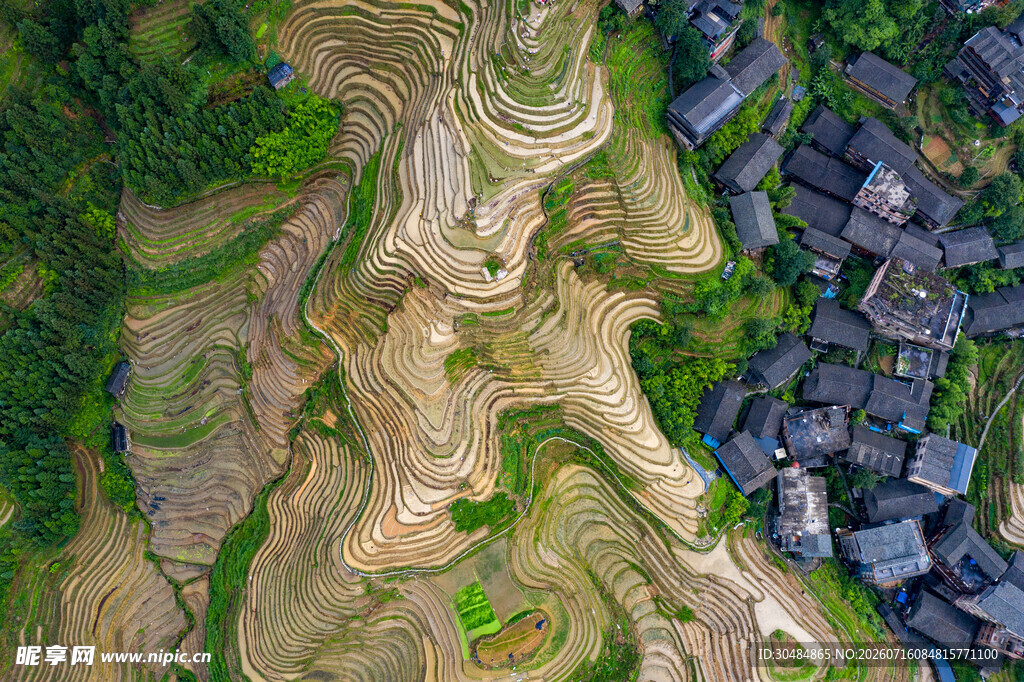 俯瞰桂林梯田村落景观
