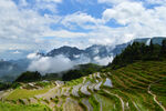 山间梯田美景