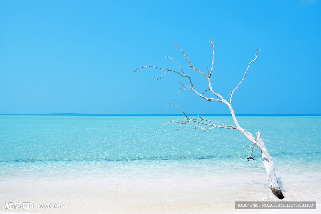 大海沙滩
