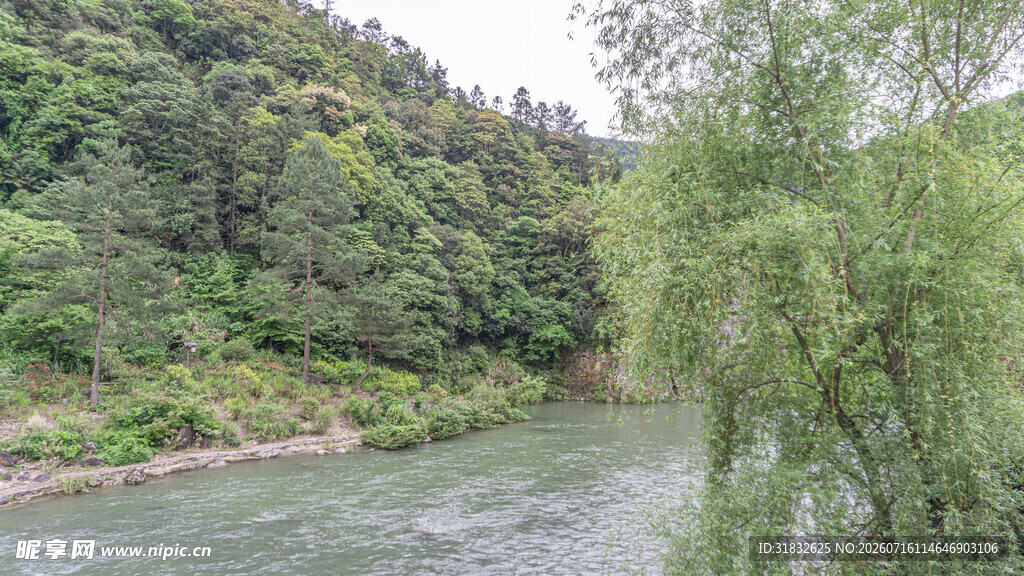 河畔葱郁山林美景