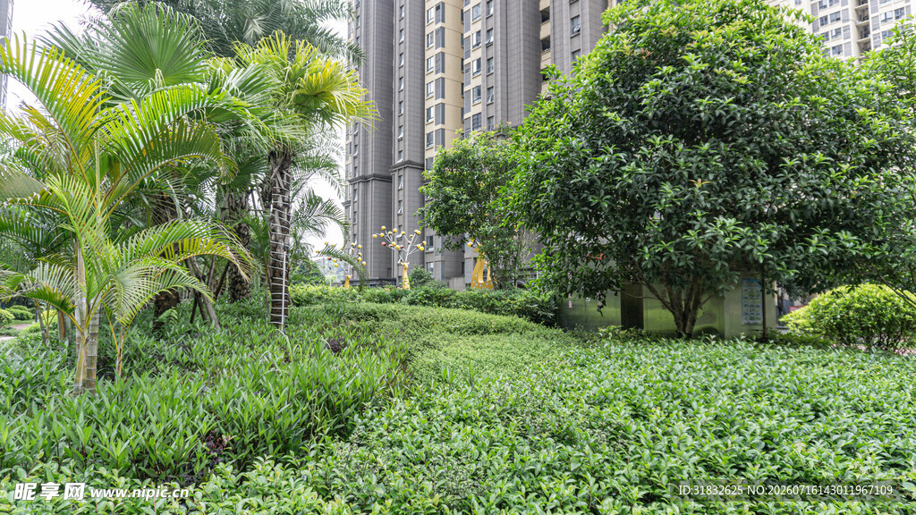 城市中的绿植景观