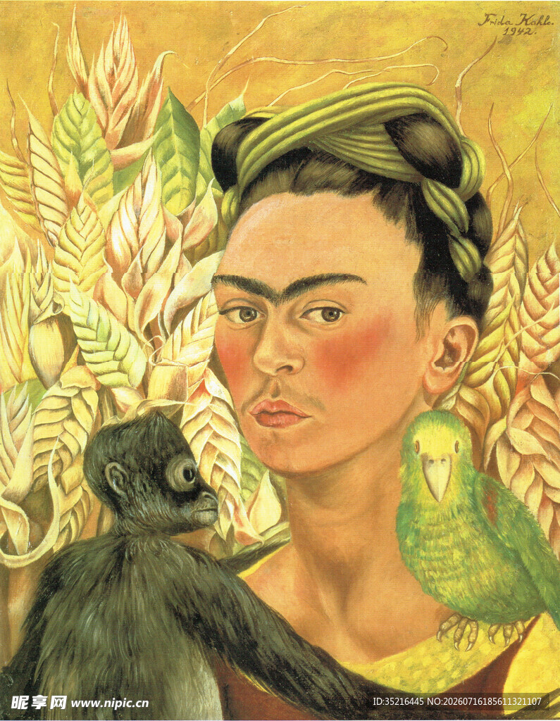 弗里达与猴的艺术画作