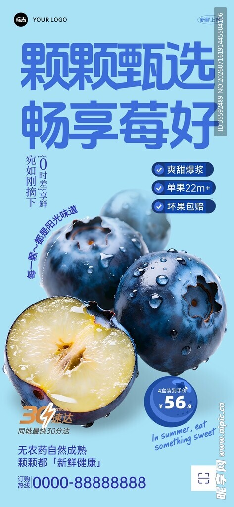 蓝莓促销海报