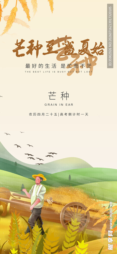 漫步田野间的悠然时光