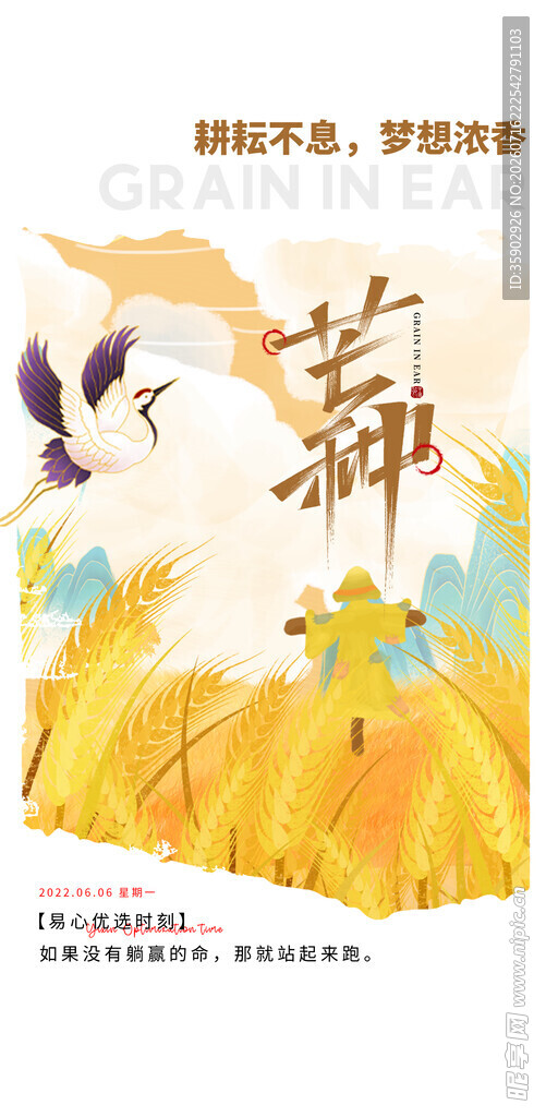 芒种古风插画中的飞鸟与麦田
