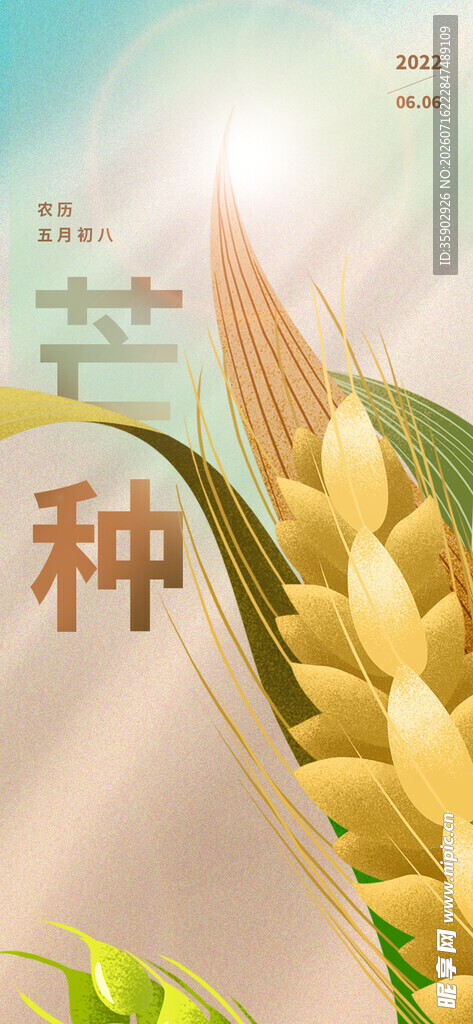 金色田野中的希望种子