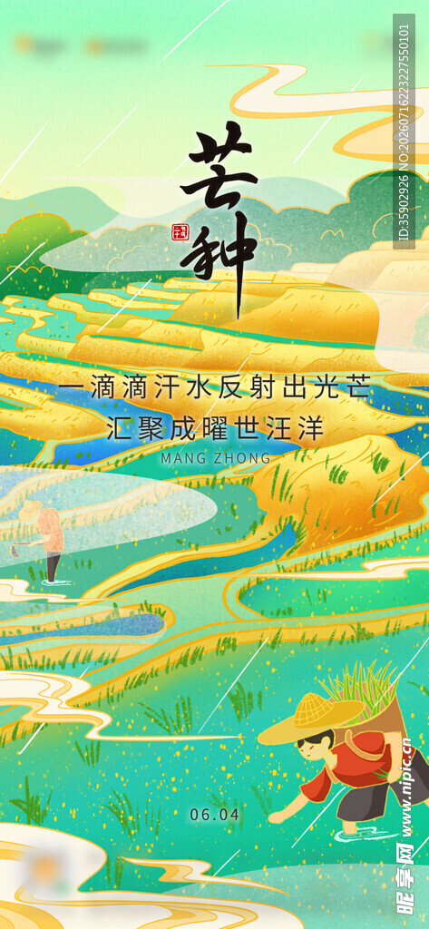芒种秋日梯田美景