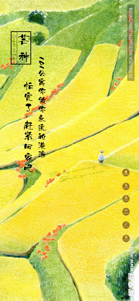 芒种山间梯田风光