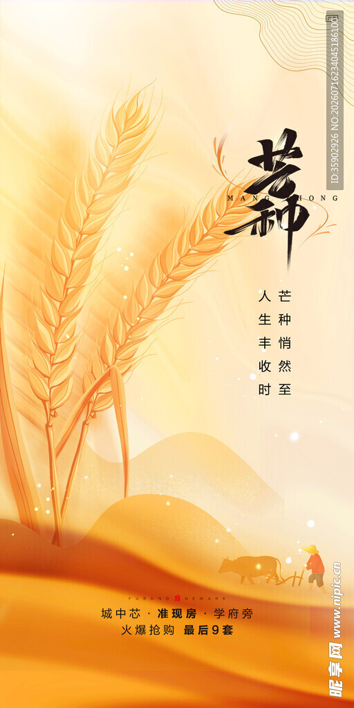 芒种金色麦田风景图
