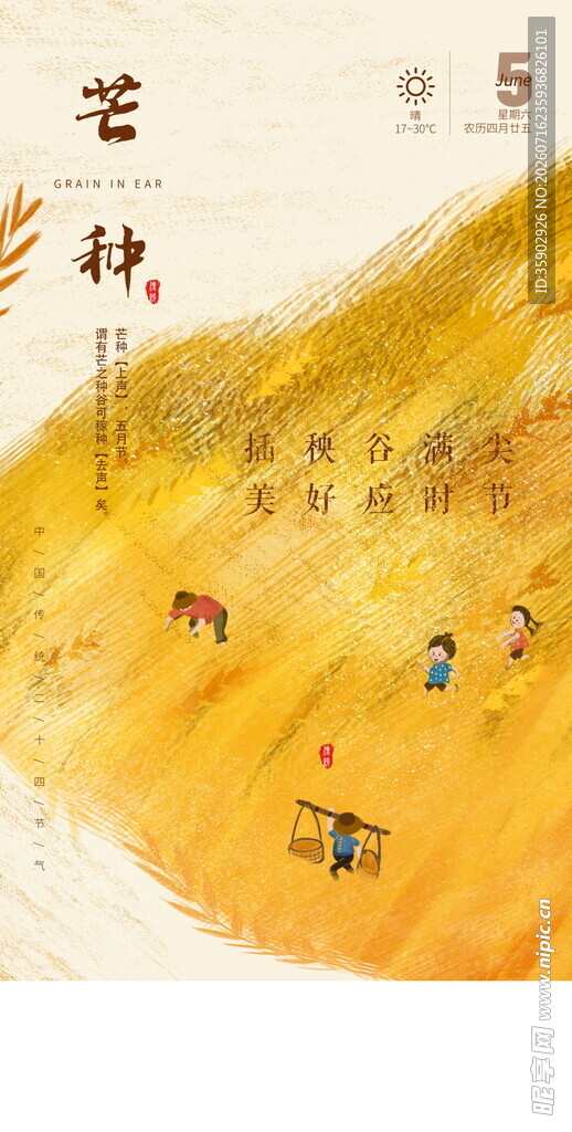 芒种秋日田野间的劳作景象