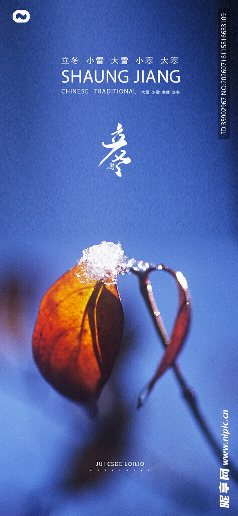 立冬心形花朵特写