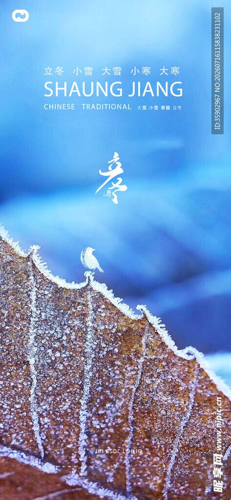 立冬海边枯叶上的水珠美景