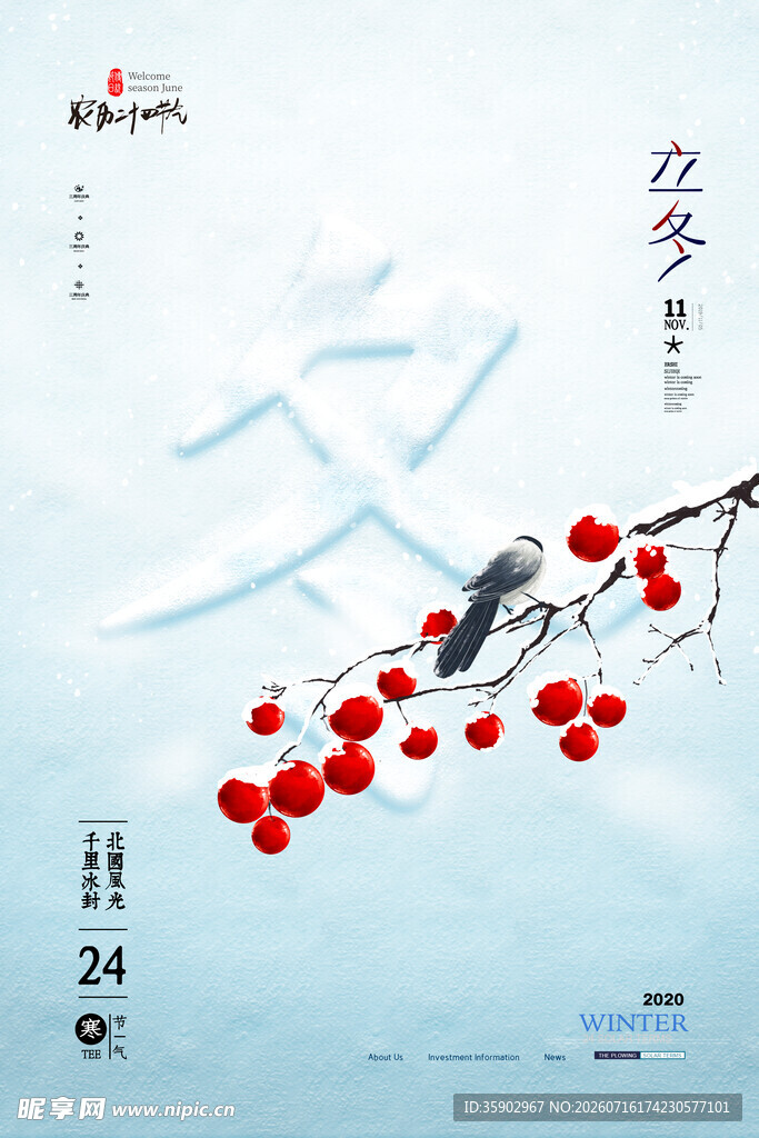 立冬时节枝头鹊与红果