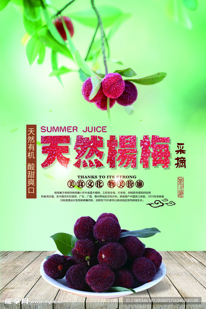 天然杨梅 新鲜诱人滋味