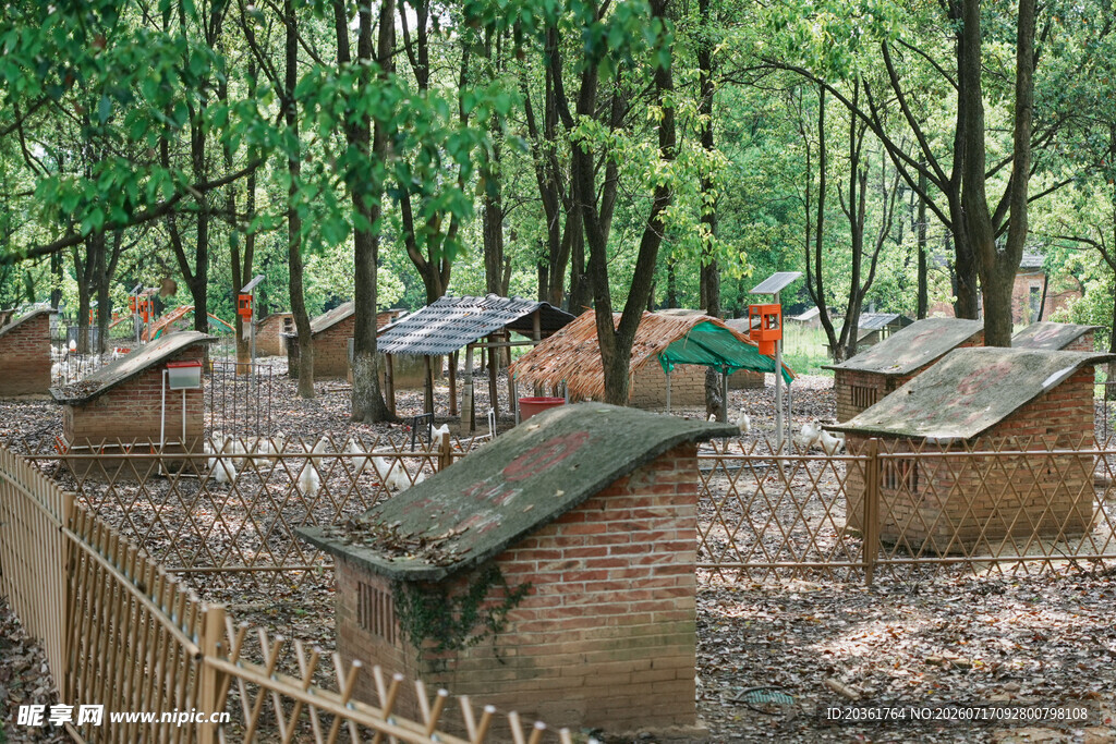 林间小屋