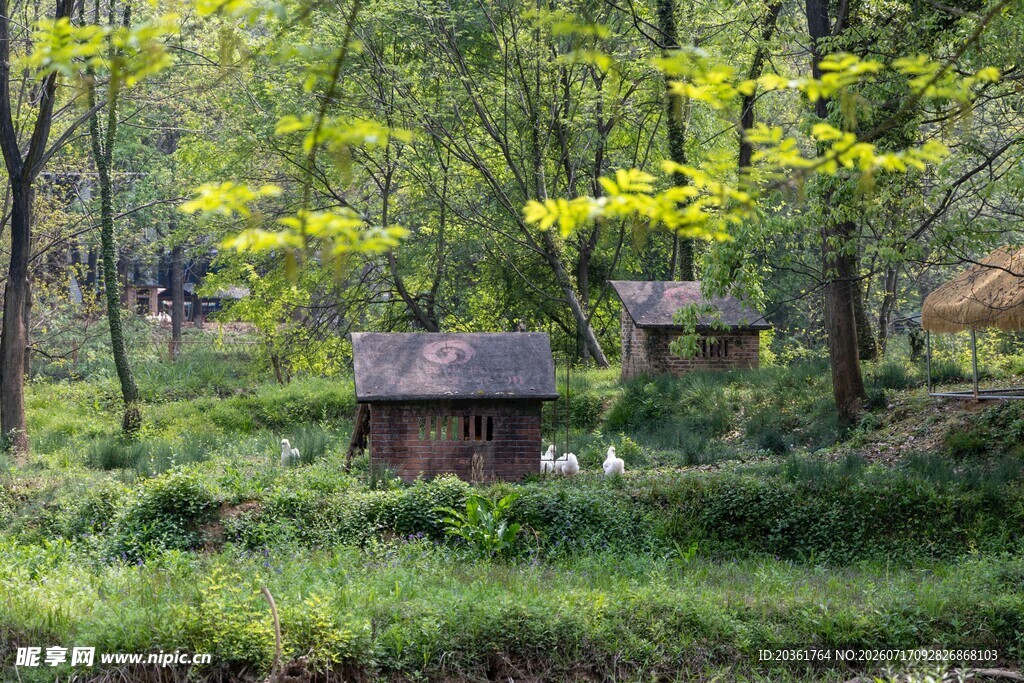 林间小屋