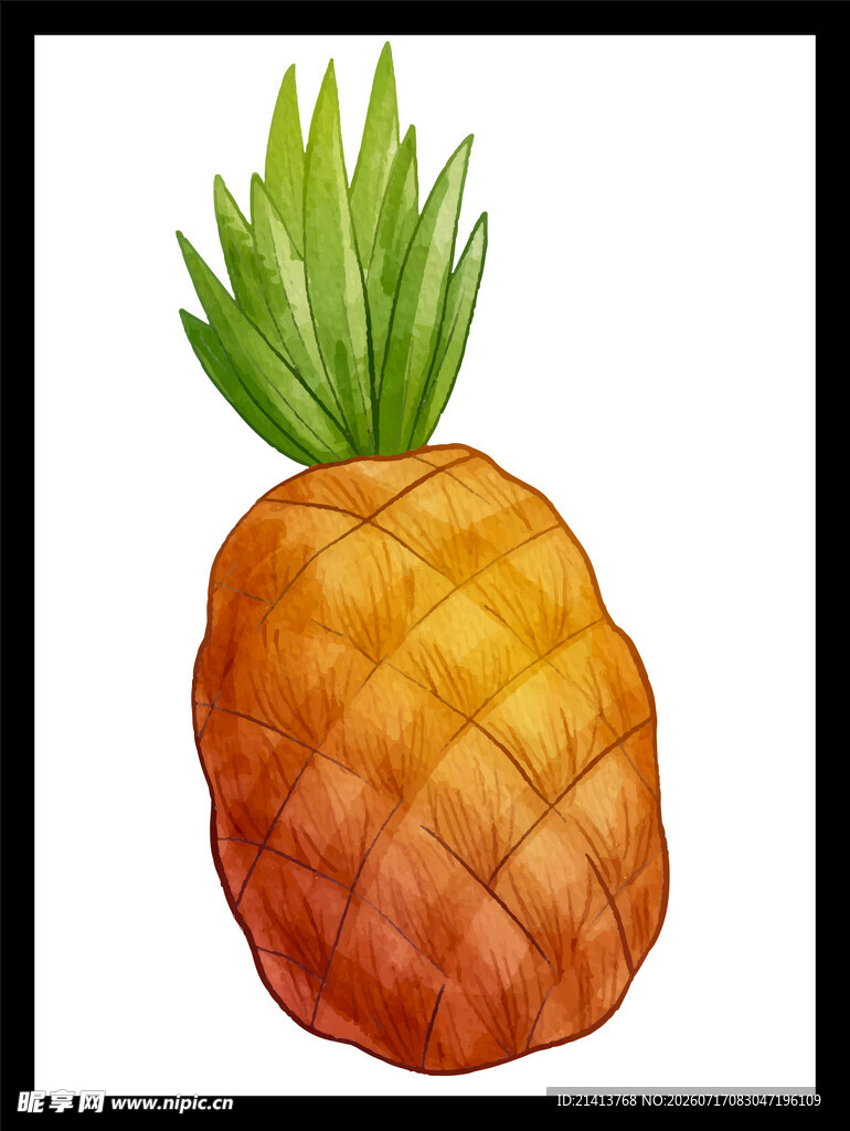 水彩风格的单个菠萝插画