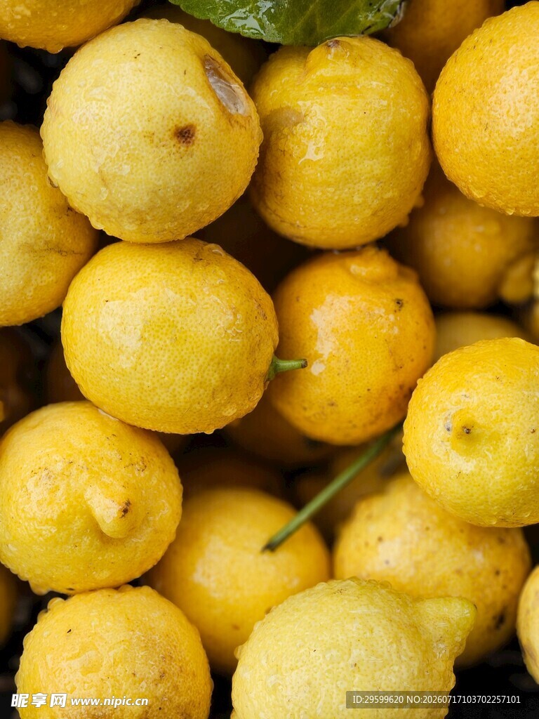 金黄饱满的新鲜百香果