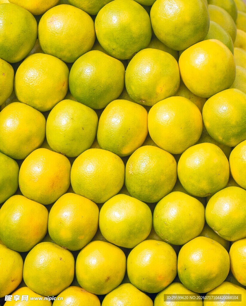 饱满黄柠檬整齐排列