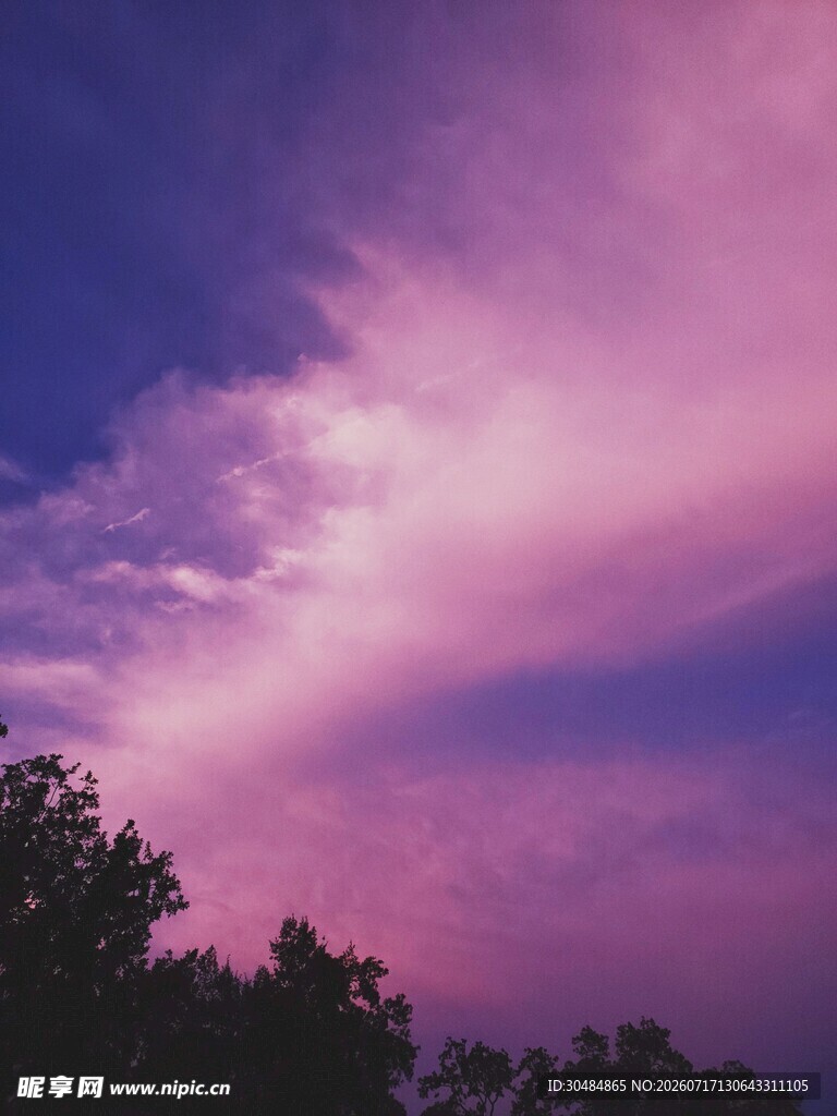 梦幻紫霞天空下的树影