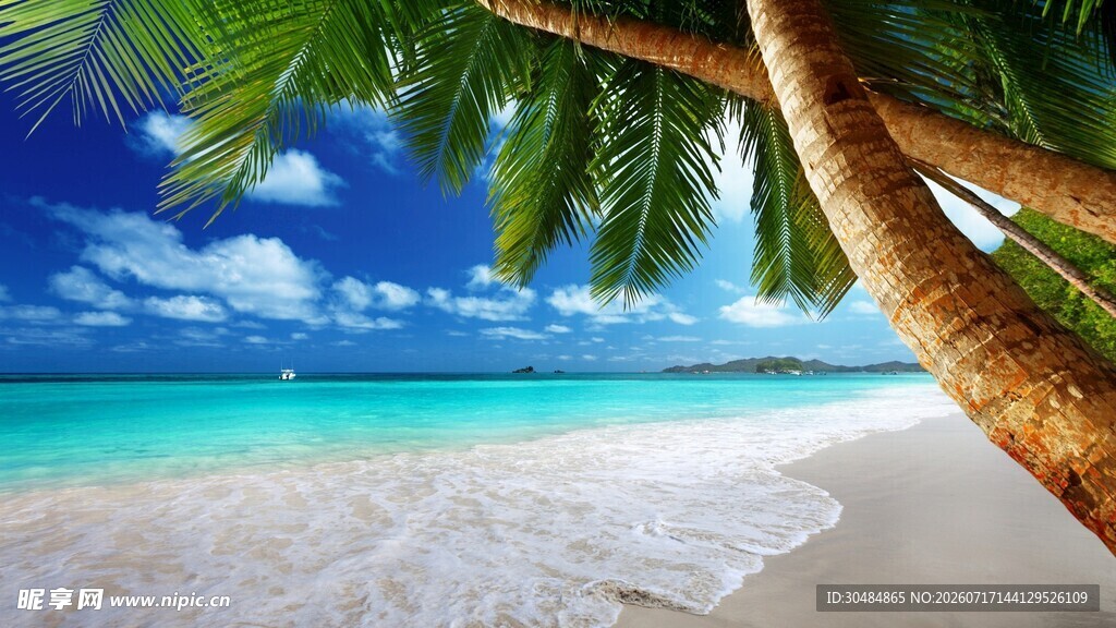 热带海滩美景