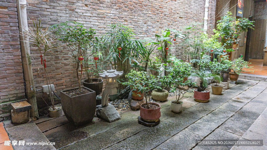 古朴庭院中的绿植景致