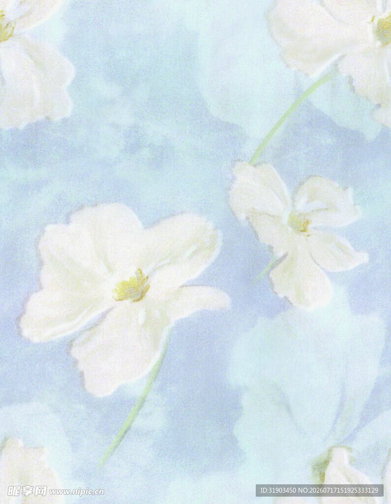 淡蓝背景下的素雅白色花卉