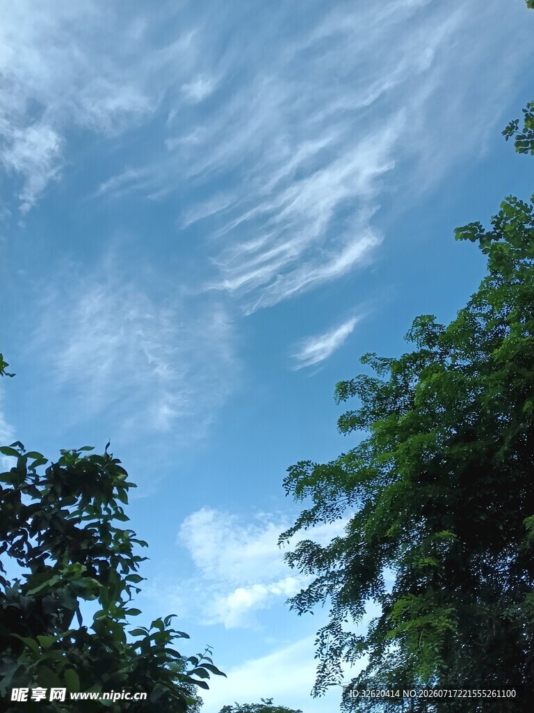 蓝天绿树间的美丽云彩