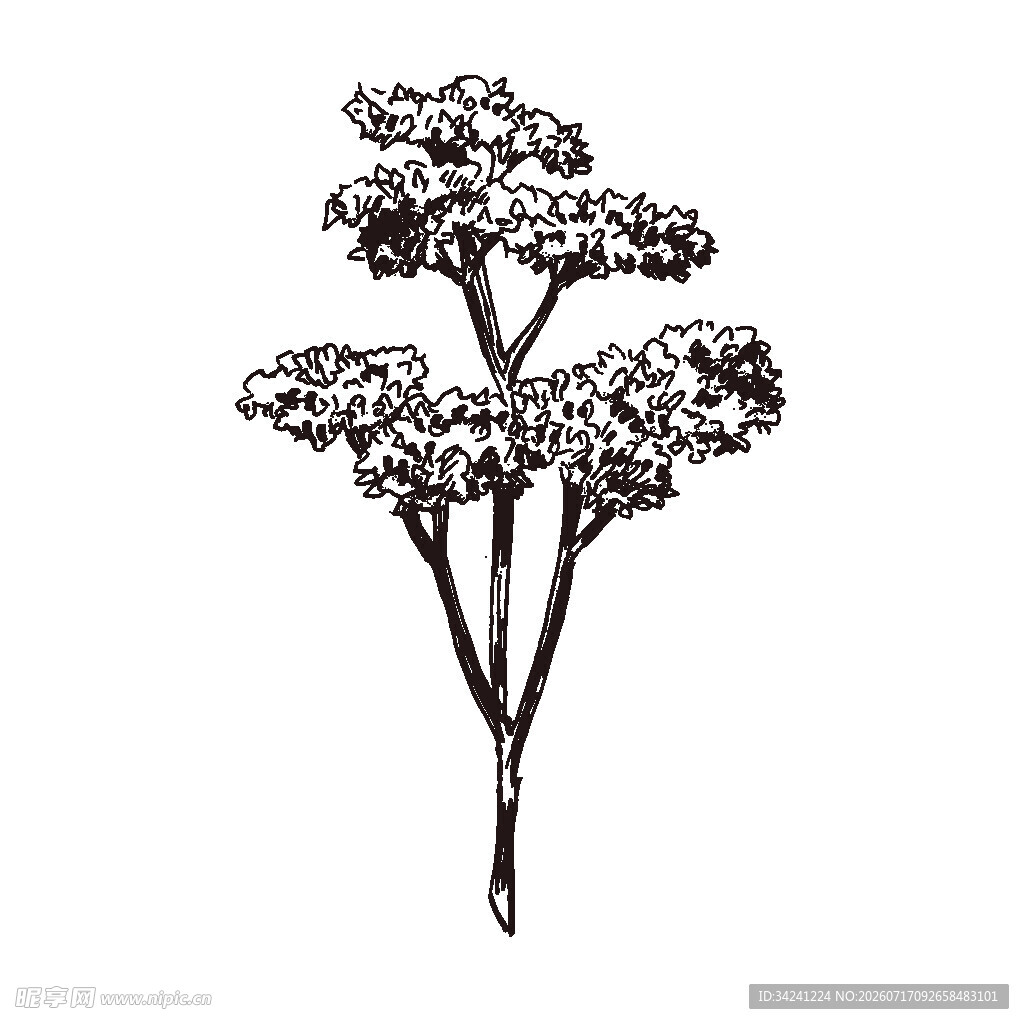 手绘花卉植物插画