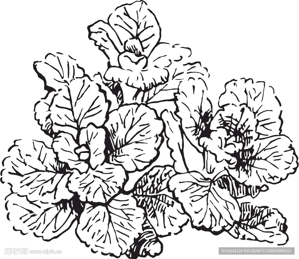 手绘蔬菜植物图案