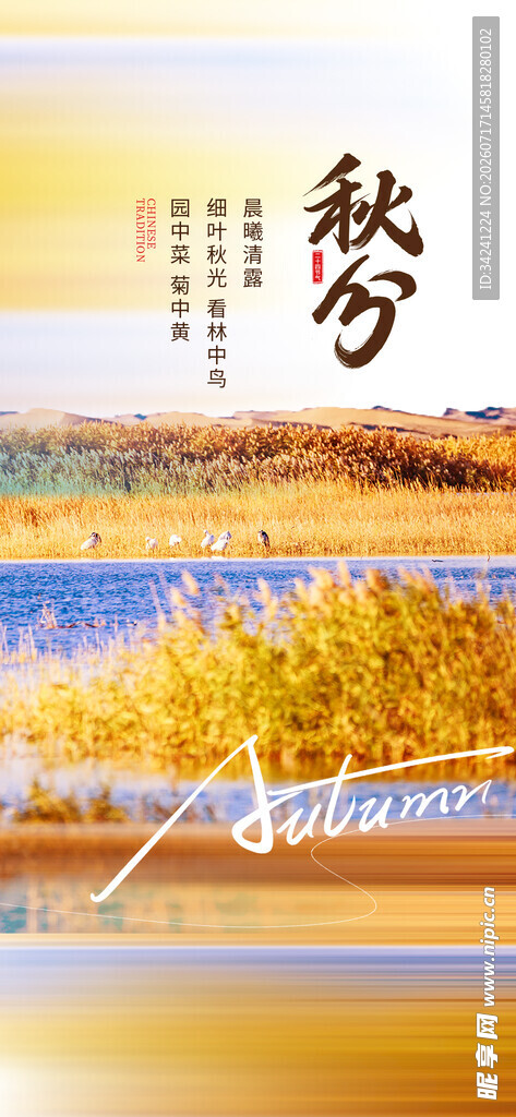 秋分时节节气