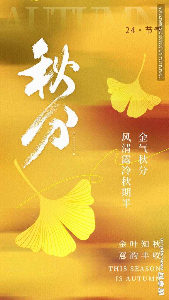 秋分时节银杏之美