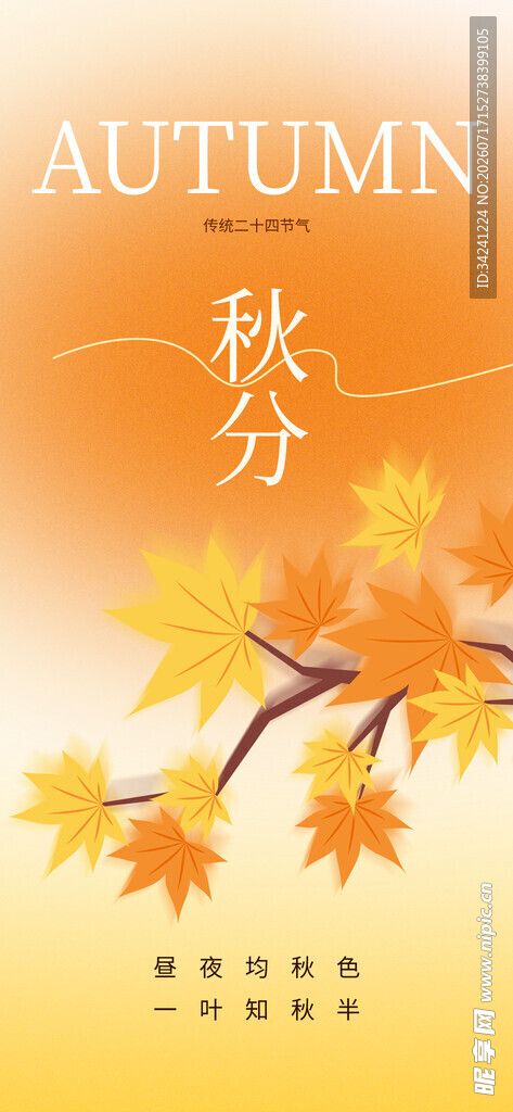 秋分时节金黄枫叶飘