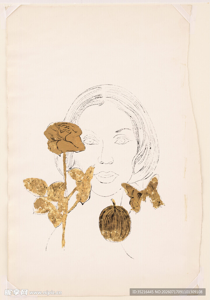 复古干花标本艺术画