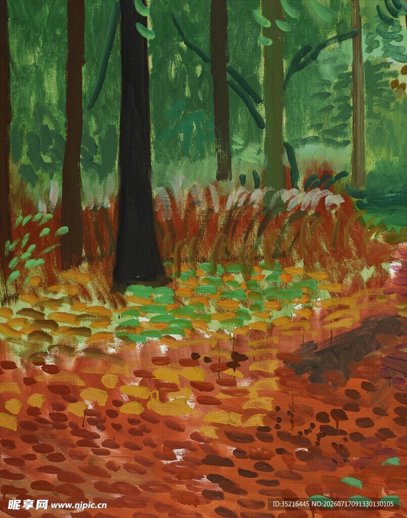 秋日森林落叶美景