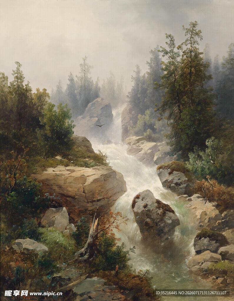森林中的自然美景