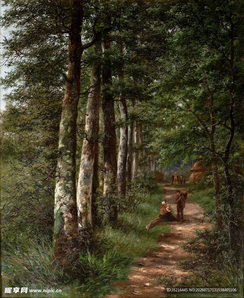 静谧的自然之景