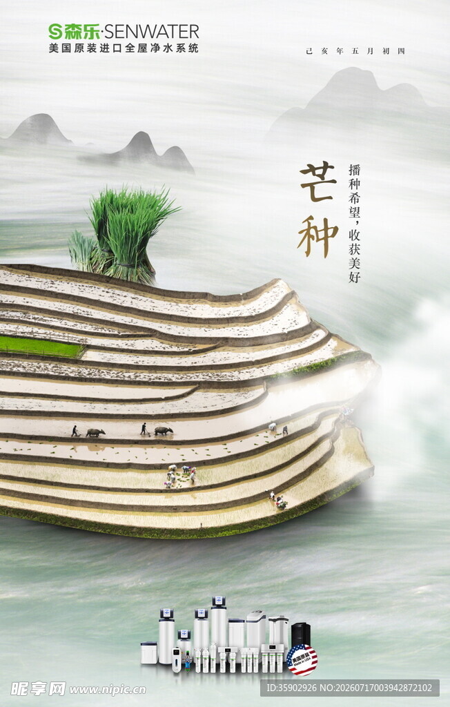 芒种梯田风光与农舍